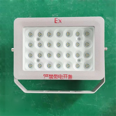 防爆LED泛光灯BSX86